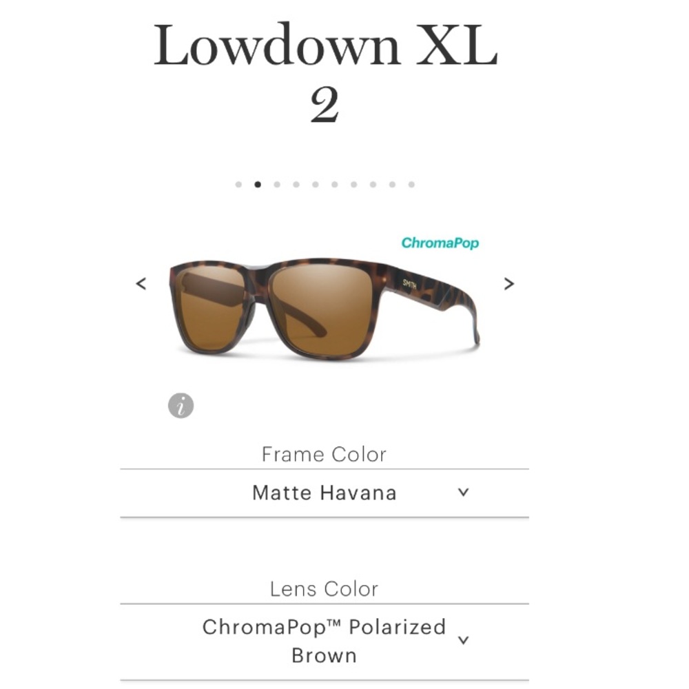 NWT: SMITH LOW DOWN XL 2 SUNGLASSES